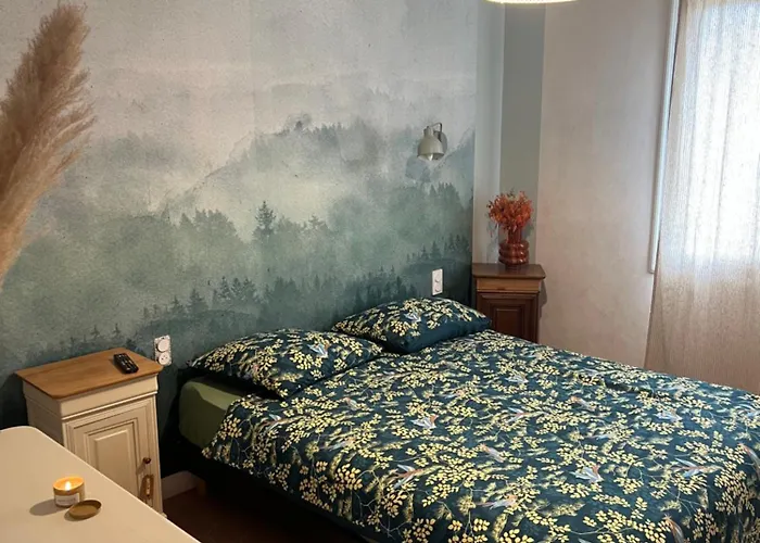 Vieux Bourg Homestay *